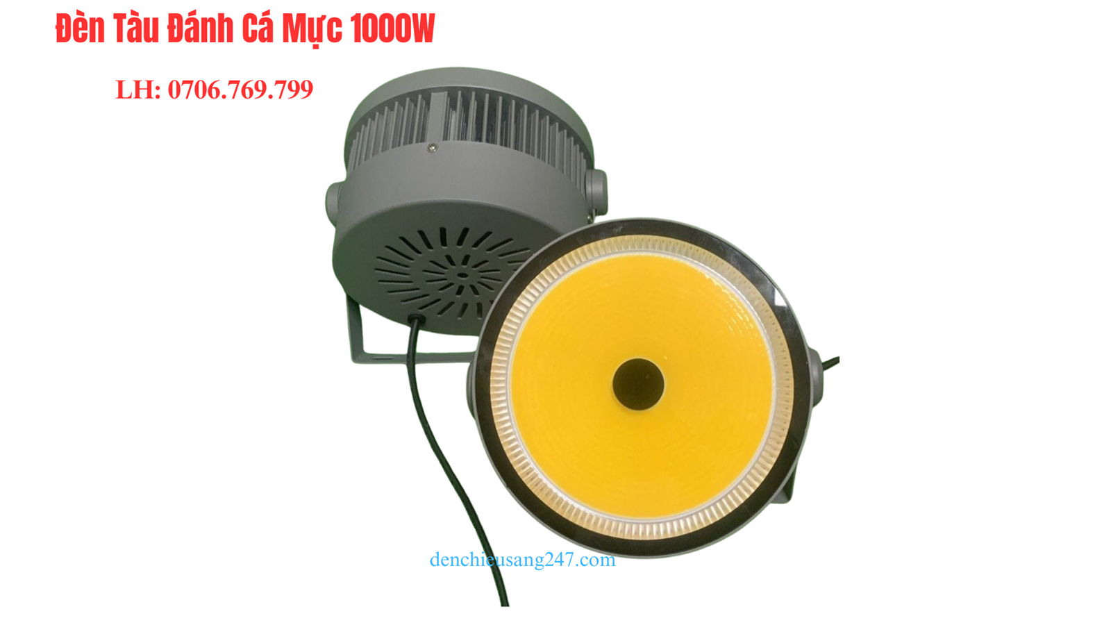 den-led-1000w-den-cao-ap-1000w