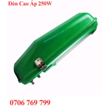 Đèn Đường Cao Áp 250w Sodium